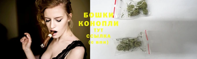 PSILOCYBIN Арсеньев