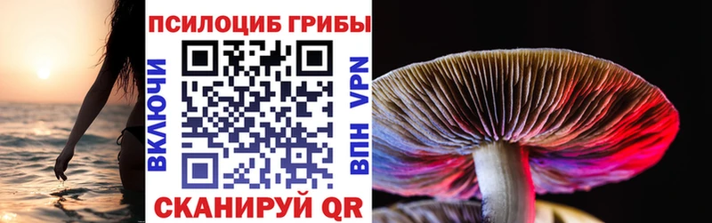 Купить  Верещагино  Псилоцибиновые грибы Cubensis 